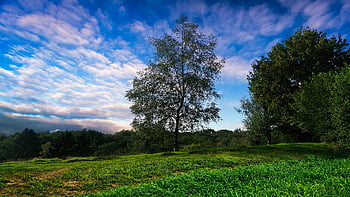 horské krajiny, hory, krajina, steinweg, Příroda, horská turistika, turistika, horské vrcholy, vysokohorský, louka, schodiště