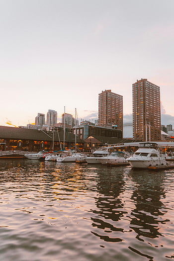 marina, docked boats, city skyline, sunset, waterfront, tranquil ambiance, urban waterfront, sunset marina, city marina, waterfront cityscape, sunset boats