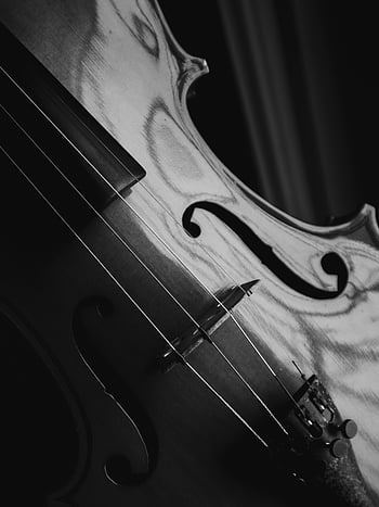 foto in scala di grigi, violino, bianco e nero, avvicinamento, Dettagli stringa intricati, elegante, strumento musicale, strumento a corda, monocromatico, belle Arti, musica classica