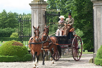 cocchiere, cavalli, carrozza, donna, viaggiatori