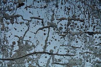 abstract art, textured concrete, cracks, stains, creative designs, background textures, abstract capture, concrete surface, artistic backgrounds, design elements, abstract patterns