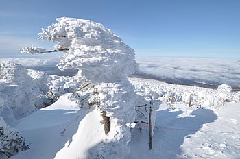 snow Scene, mt Hanlla, sanggodae