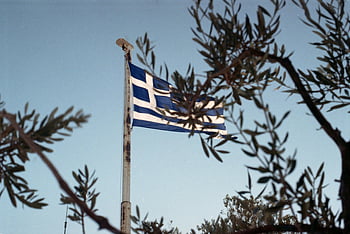 ελληνική σημαία, σημαία στον πόλο, γαλάζιος ουρανός, Αθήνα, κλαδιά ελιάς, κυματιςτή σημαία, Ελληνικό Σύμβολο, Εθνική σημαία, υπαίθρια σκηνή, Ελλάδα, ιστός σημαίας