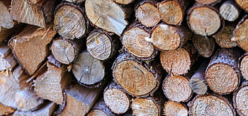 brown firewoods, close-up photo, wooden logs, natural texture, tree rings, neatly stacked, firewood texture, wood grain, outdoor firewood, stacked logs, firewood pile