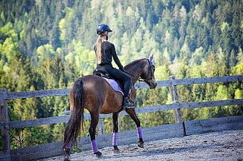 kůň, dívka, lekce jízdy na koni, poník, jezdecký poník, jezdecký, koňský, zvíře, hnědý kůň, Pony Ride, jízda