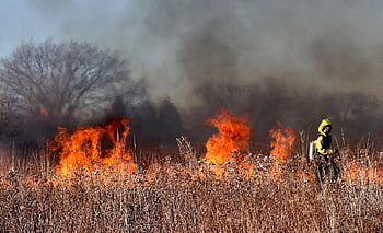 消防士、 火災、 炎、 煙、 燃やす、 燃焼、 草の火、 山火事、 消防、 火炎