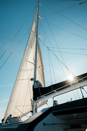 catamaran, boat, nature, sail, ship, sailing, france, sea, summer