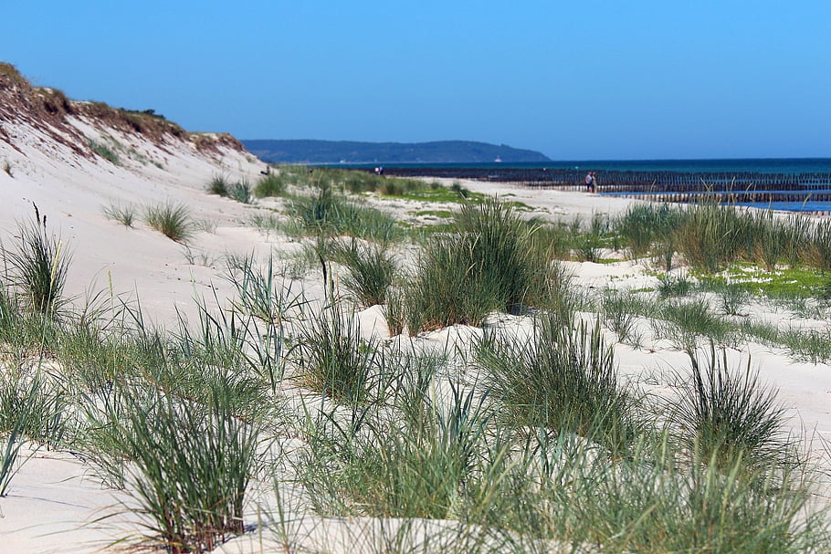 pláž, písek, tráva, duny, písečné duny, beachgrass, pobřeží, písečná pláž, hiddensee, ostrov, Baltské moře