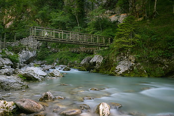 ponte sul ruscello, Ponte pittoresco, fiume calmo, Tolmino Slovenia, vegetazione lussureggiante, paesaggio roccioso, scenario naturale, ambiente sereno, paesaggio all'aperto, ponte di Legno, vista sul fiume