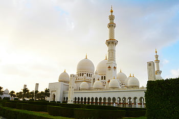 mešita šejka zayeda, Abu Dhabi, islámské architektury, svítání, bílá mešita, poblíž stromů, nádherný výhled, kopule, minarety, Zobrazit úsvitu, mešita abu dhabi