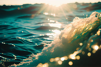 oceano, onda, luce del sole, acqua, spruzzo, bagnato, natura, all'aperto, nuotare, luminosa, estate