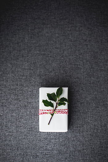 jul, närvarande, gåva, Semester, natur, presentlåda, överraskning, paket, löv, julklapp, dekoration