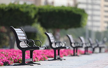 bench, seat, social, distance, park, sit, empty