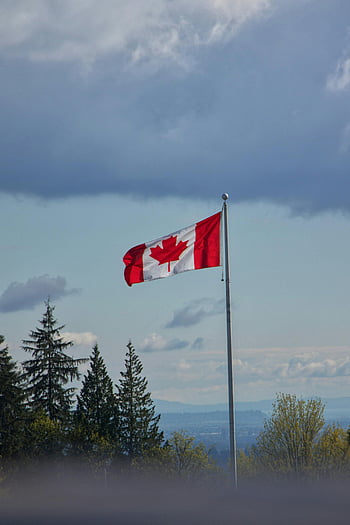 Canada Flag, flagpole, Canadian flag, national pride, patriotism, cloudy sky, waving flag, maple leaf, outdoor scene, flag display, trees
