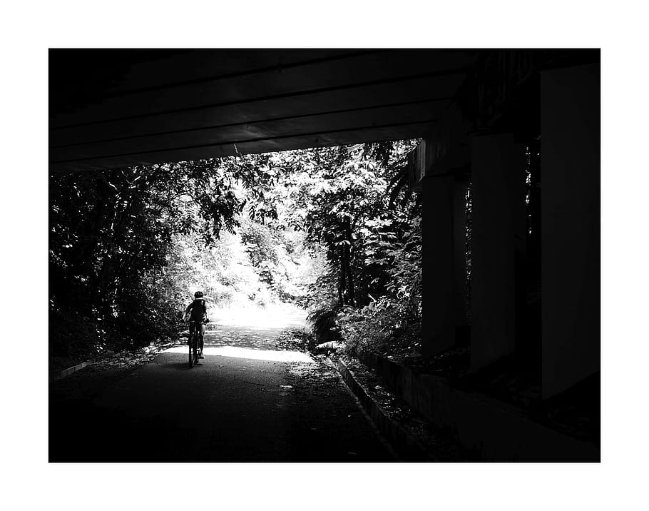 corridoio verde, Singapore, sottopassaggio, sport, esercizio, persone, natura, architettura, pianta, albero, bianco e nero