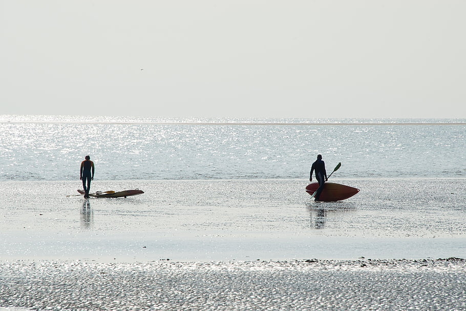 spiaggia, natura, sabbia, mare, luce del sole, surfer, surfers, pagaie, remi, silhouette, costa
