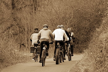 cyclist, ride, cycle, bike Path, fall, winter, to Go Biking, fitness, leisure Time, recreation, landscape