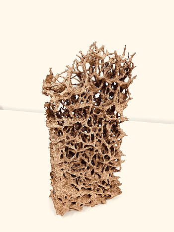 termite Nest, termite, nest, ants, nature, structure