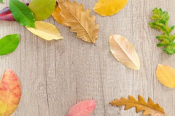 gedroogde bladeren, bruine houten tafel, kleurrijke herfstbladeren, verspreide bladeren, houten tafel, Fall Essence, herfst gebladerte, bladeren arrangement, natuurlijke achtergrond, seizoensgebonden decor, herfstscène