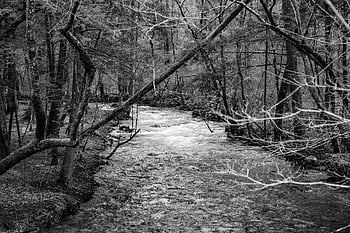 Smokey Mountain National Park, natura, Tennessee, appalachian, paesaggio, smokey, nazionale, parchi, all'aperto, panoramico, montagne