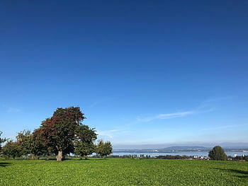 trees, fields, lake, grass, grasslands, horizon, blue Sky, meadow, landscape, nature, thurgau