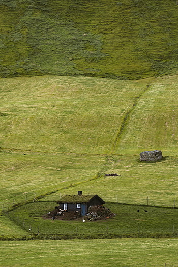 ländliches Häuschen, üppige grüne Felder, Hügellandschaft, charmantes Haus, Landschaftslandschaft, kleines Haus, natürliche Landschaft, friedliche Umgebung, ländliches Leben, Grün, Feldhaus