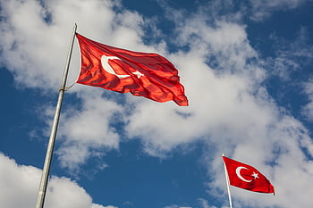 Turkey flags, Turkish flags, waving flags, bright blue sky, white clouds, outdoor photography, national symbols, red and white flags, wind-blown flags, flag poles, sunny day