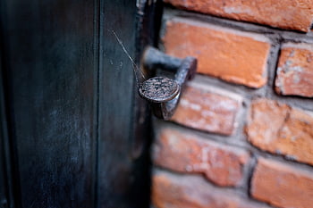 door Knob, front Door, door, entrance, old, wood, house Entrance, metal, gate, iron, antique