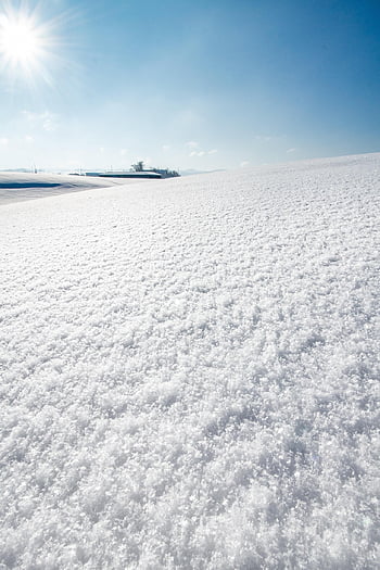 Schnee, Feld, Winter, Schneelandschaft, Winterlandschaft, schneebedeckt, winterlich, Raureif, Natur, Frost, eisig