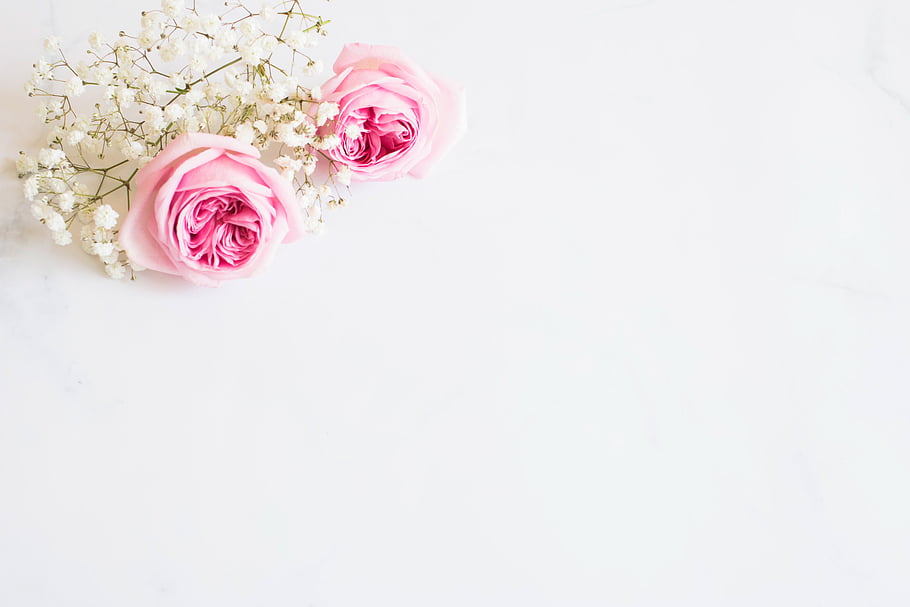 rosa, distesa piatta, copyspace, tavolo, minimalista, fiori, San Valentino, romantico, amore, fioritura, fiorire