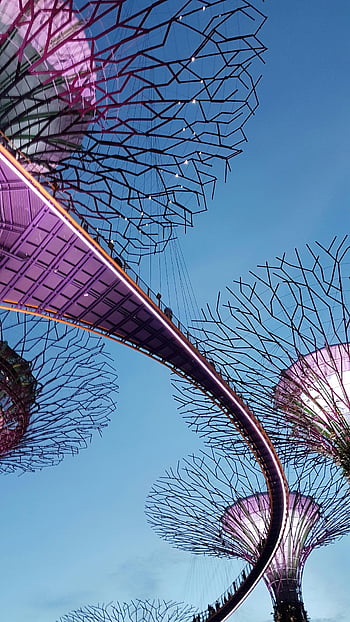 supertree háj, singapore, svítí, zářící světla, soumrak, vzhůru, podmanivý, zahrady u zálivu, architektonická struktura, noční scénu, městské krajiny