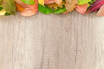foglie d'autunno, superficie di legno, arredamento stagionale, foglie vibranti, fondo in legno, decorazioni autunnali, foglie colorate, sfondo naturale, disegno autunnale, disposizione delle foglie