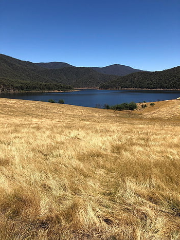 grass, lake, mountains, dried Grass, tall Grass, pasture, landscape, scenery, dry, summer, countryside