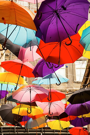 assorted-color hanging umbrellas, vibrant display, multi-colored umbrellas, outdoor daylight, colorful umbrellas, hanging umbrellas, assorted umbrellas, outdoor umbrellas, daylight umbrellas, vibrant umbrellas, multi-colored display