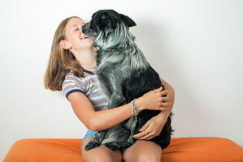 pet, dog, sheep Dog, girl, fun, nature, happy, love, animal, puppy, cute