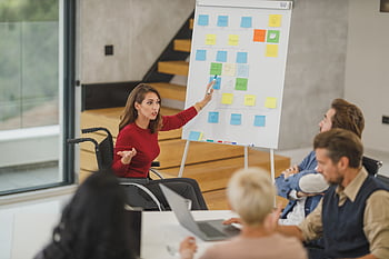 woman, business, presenting, person, meeting, result, discussion, team, teamwork, working, office