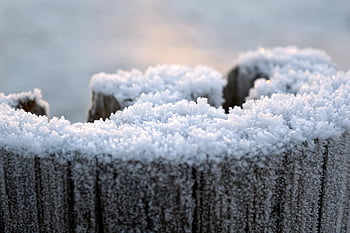 træpæl, aktiepost, stolpe, sne, vinter, frost, rimfrost, vinter magi, iskrystaller, isnende, Frosset