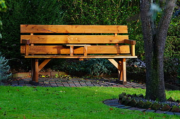 wooden bench, garden, relaxation, solitude, leafy, sunlit, outdoor, nature, peaceful, seating, landscape