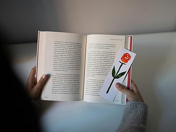 person reading, open book, floral bookmark, reading relaxation, hands holding book, book reading, reading activity, floral design, book page, reading moment, relaxation time