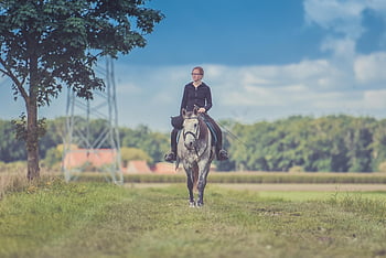 woman riding horse, gray horse, picturesque field, clear blue sky, near tree, outdoor scene, equestrian activity, rural landscape, horseback riding, natural setting, countryside view