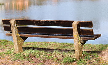 tranquility Base, wooden Bench, bank, lake, spring, water Surface, relax, recreation, seating, to Sit, nature