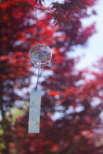 furin, zvonkohry, Japonská zvonkohra, Japonský větrný zvon, Skleněný větrný zvonek, kultura, tradice, svatyně, chrám, omotesando, Japonsko