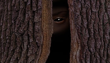 hd Wallpaper, tree, scary, eye, halloween, dark, black, ghost, horror, creepy, nature