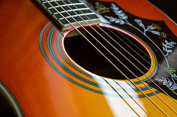 acoustic guitar, strings, sound hole, intricate design, brown guitar, black leaf print, detailed view, guitar strings, guitar sound hole, guitar design, acoustic guitar details