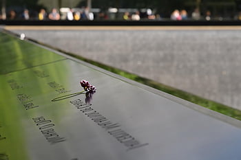 παγκόσμιο κέντρο εμπορίου, λουλούδι, μνημείο, φόρος, 9 11, 911, Νέα Υόρκη, Μανχάταν, φόντο λουλουδιών, φύση, ορόσημο