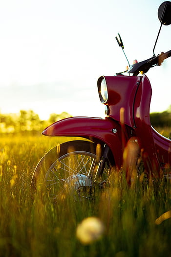 koloběžka, trávy, červený motor, západ slunce, motocykl, louka, doprava, klasický, retro, Příroda, automobil