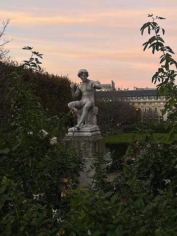 sochařství, palácová zahrada, Klasická socha, svěží zeleň, Paříž, západ slunce pozadí, venkovní umění, zahradní scenérie, městský park, kulturní památka, západ slunce