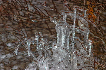 ghiaccioli, inverno, acqua, gocciolare, congelato, freddo, gelido, natura, ghiacciato, invernale, cristalli
