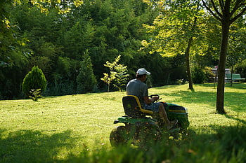 man mowing lawn, green lawn, lawn mower, sunny day, lush garden, trees, foliage, outdoor gardening, grass cutting, garden maintenance, man gardening