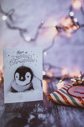 Christmas greeting card, penguin, fairy lights, festive greetings, holiday card, Christmas card, gift, winter, holiday season, Christmas decorations, penguin card